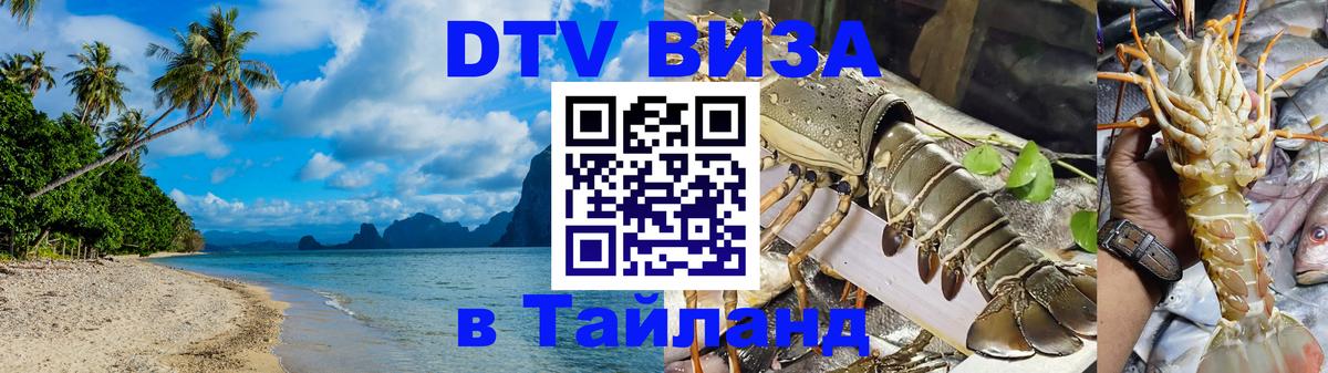 Оформление DTV визы под ключ: стоимость и тарифы, только загранпаспорт - Шахты 